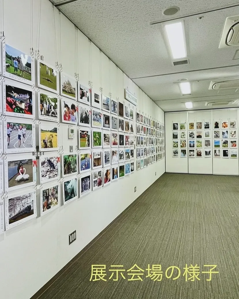 毎年恒例　フォトシティさがみはら写真展