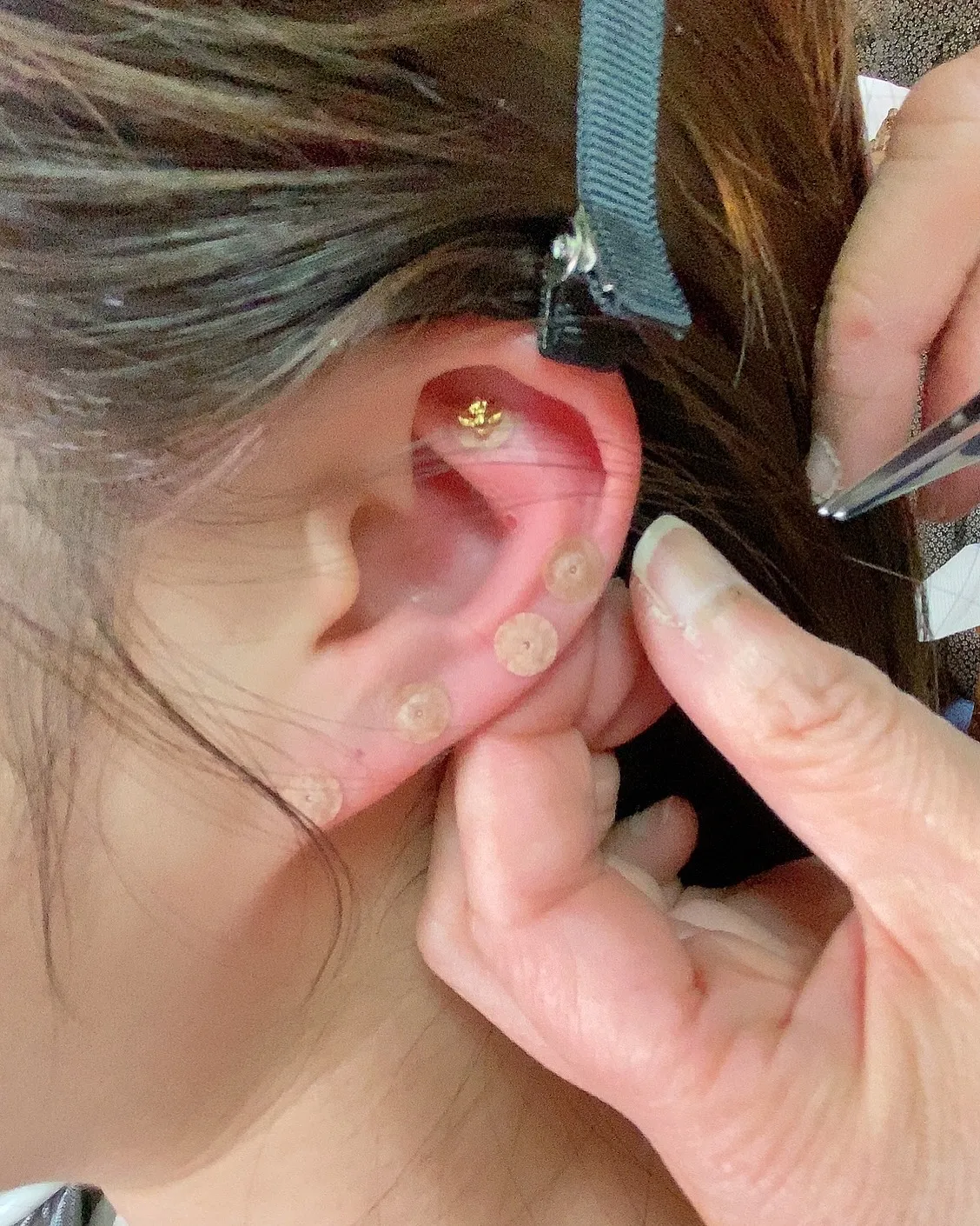 座間市にある ひばり茶寮さんは