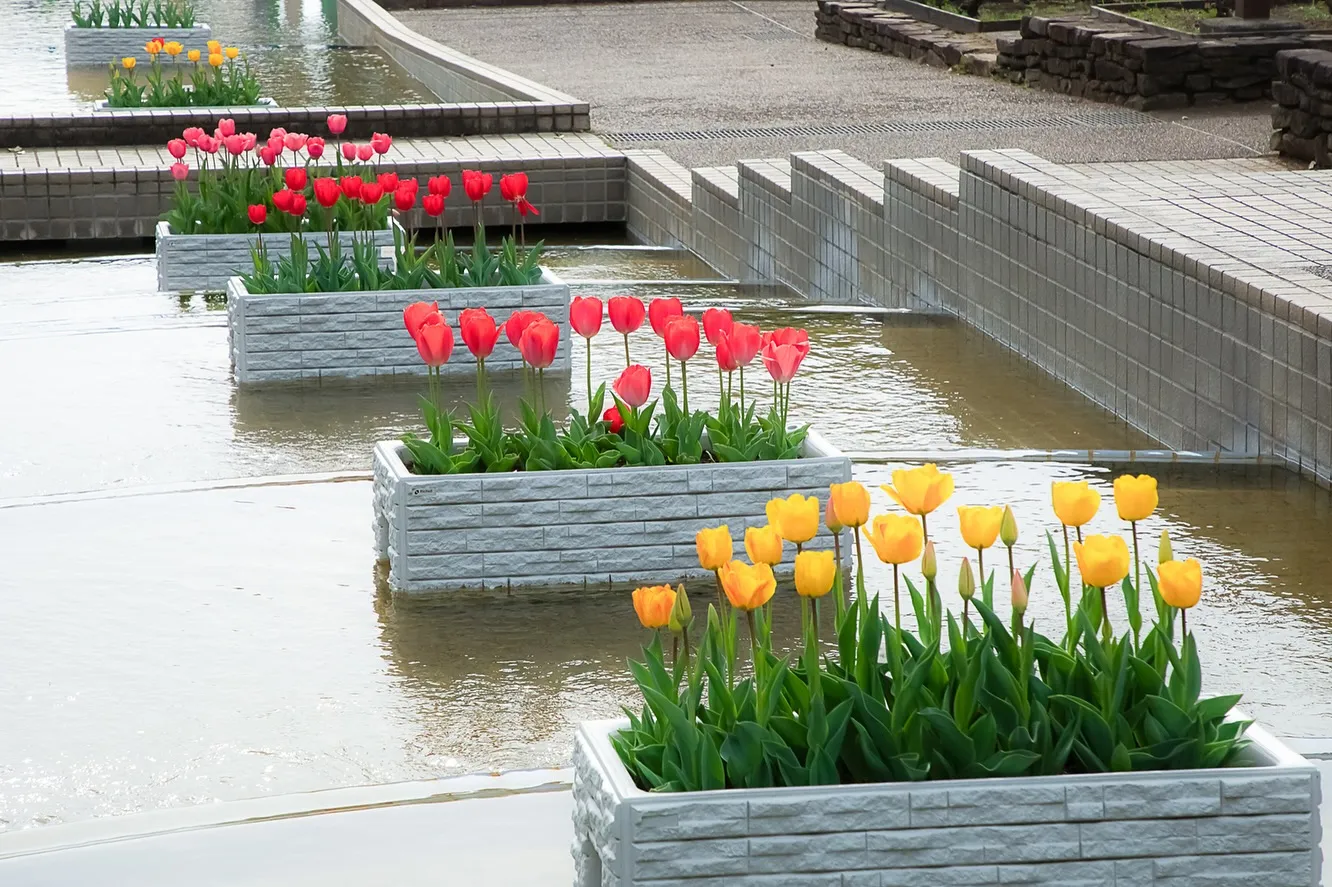 春の訪れ🌸パート2