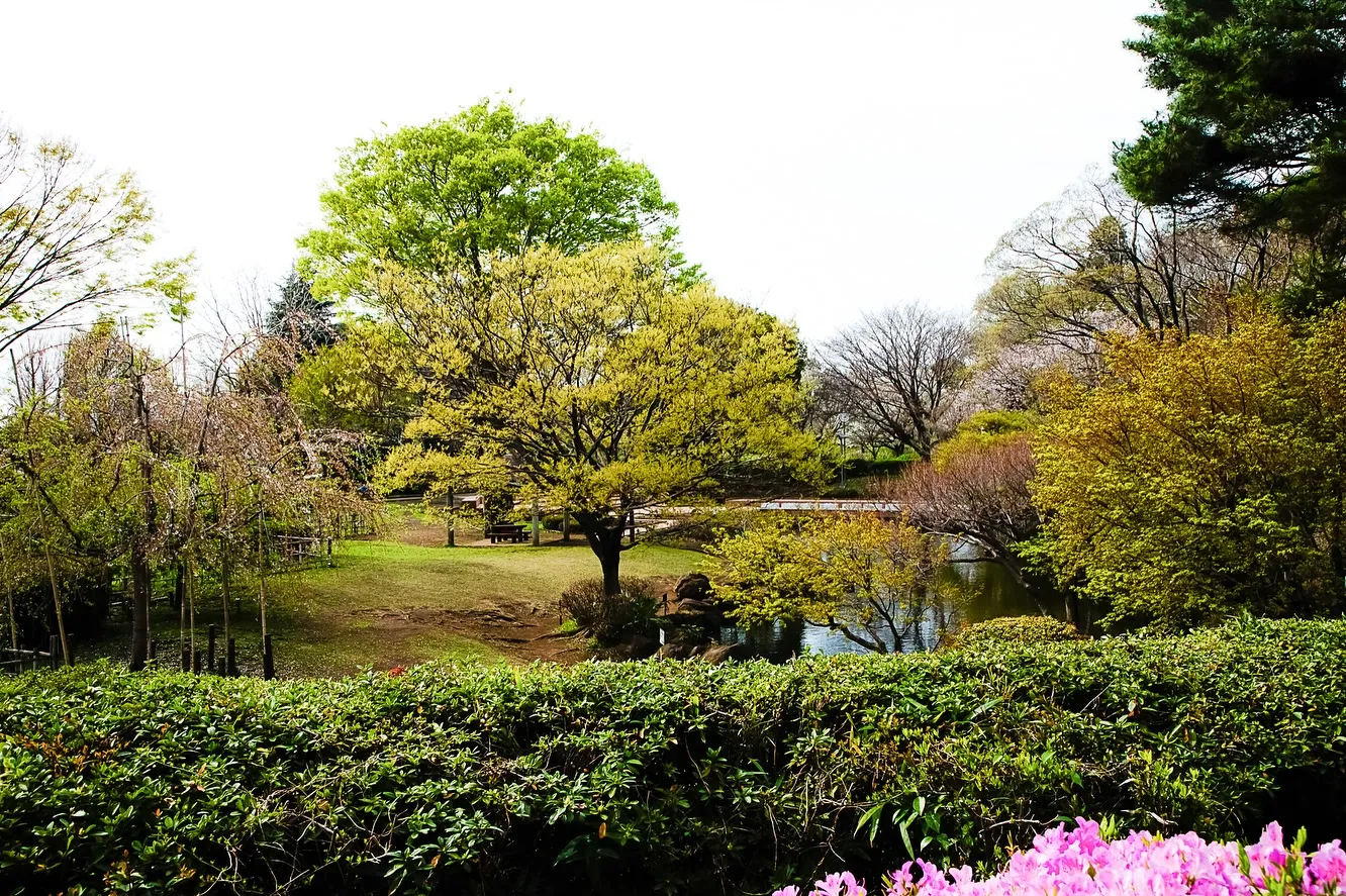 春の訪れ🌸パート2