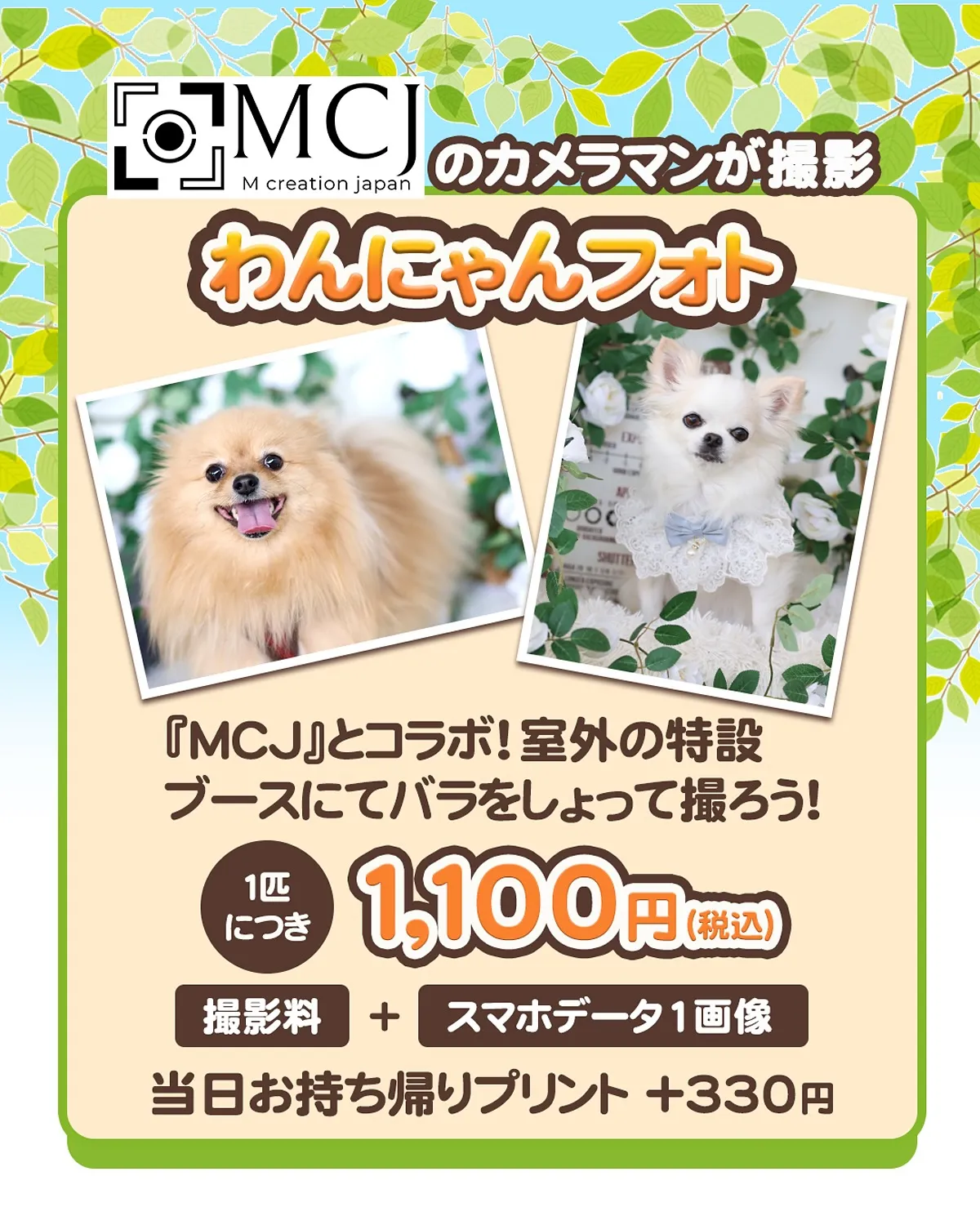 写真は未来の宝もの 久保田写真館です📷