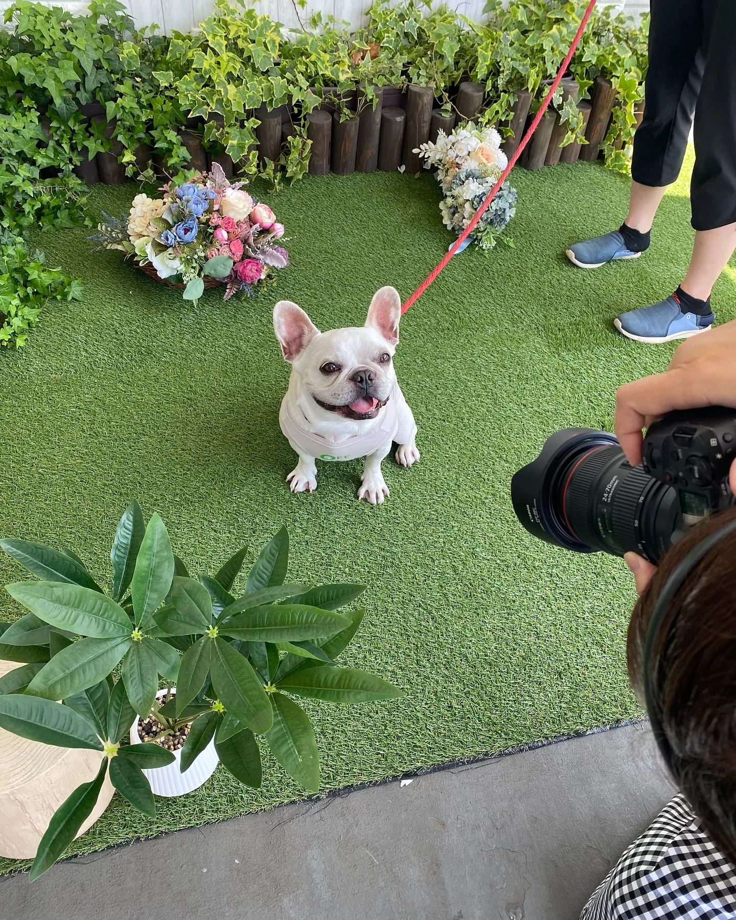 2025年6月1日(日)