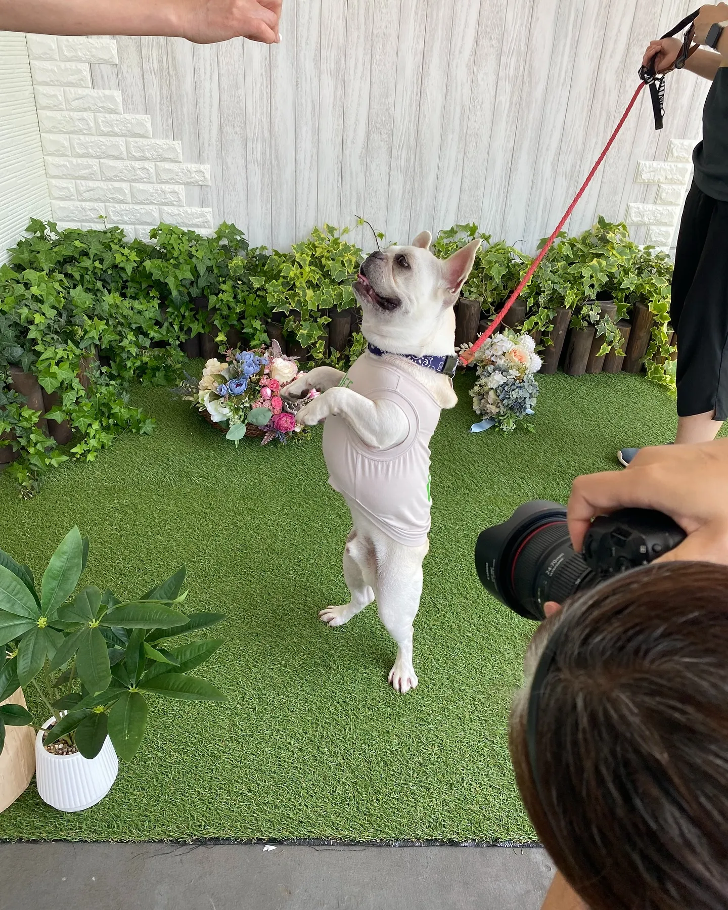 2025年6月1日(日)