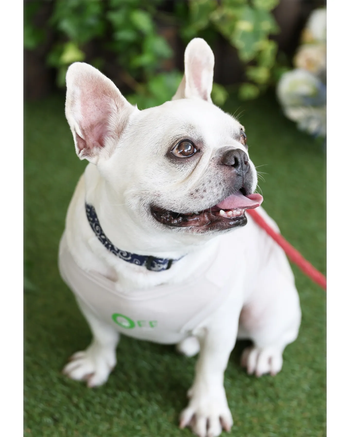 2025年6月1日(日)