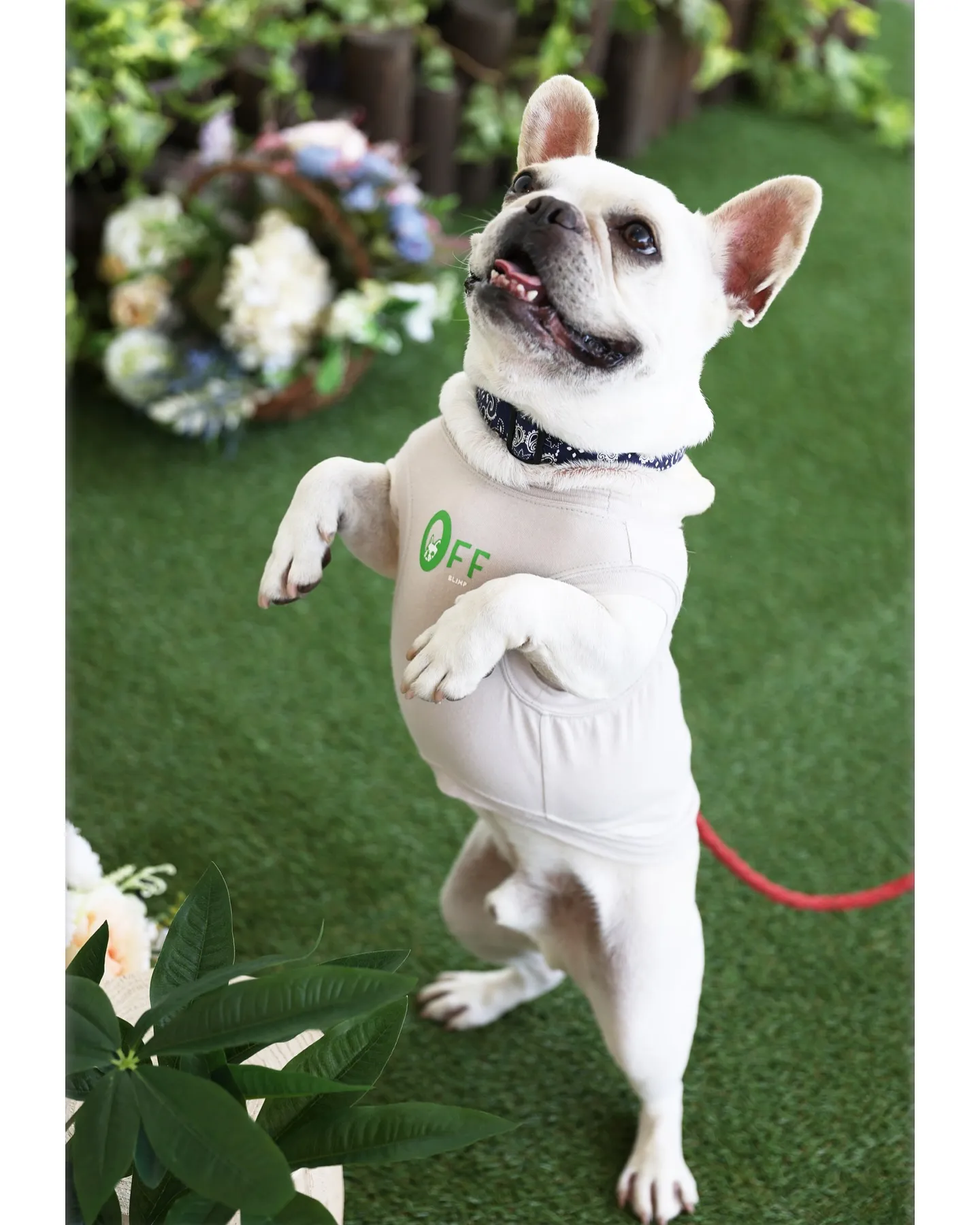 2025年6月1日(日)