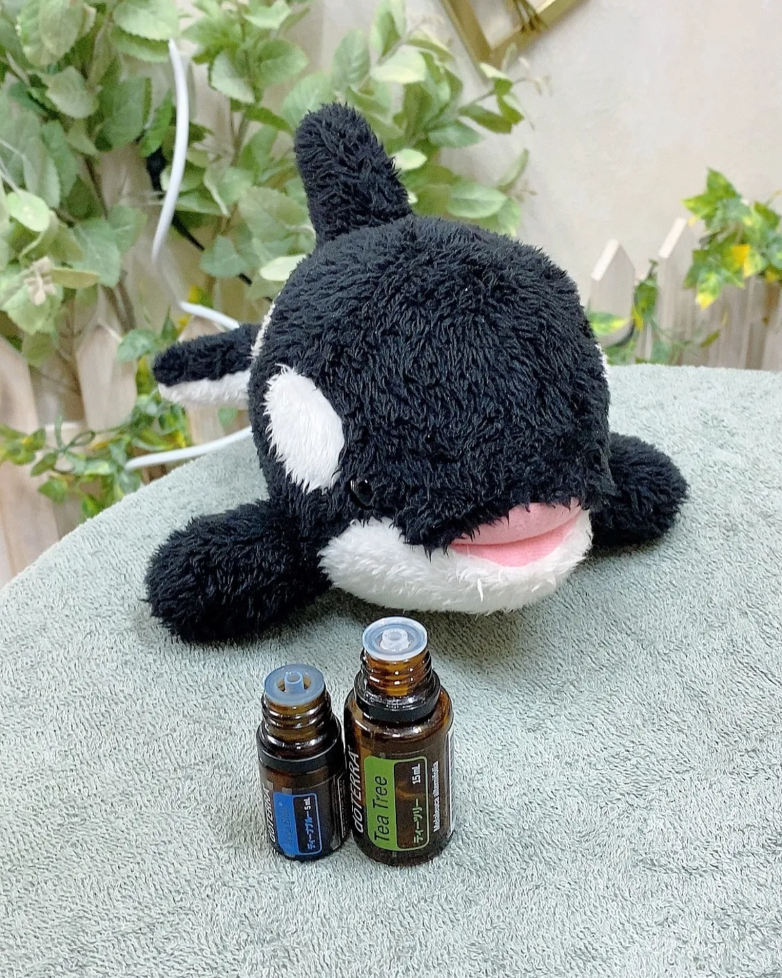 2025年6月1日(日)