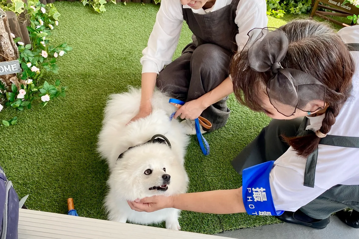 6月1日「写真まつり」