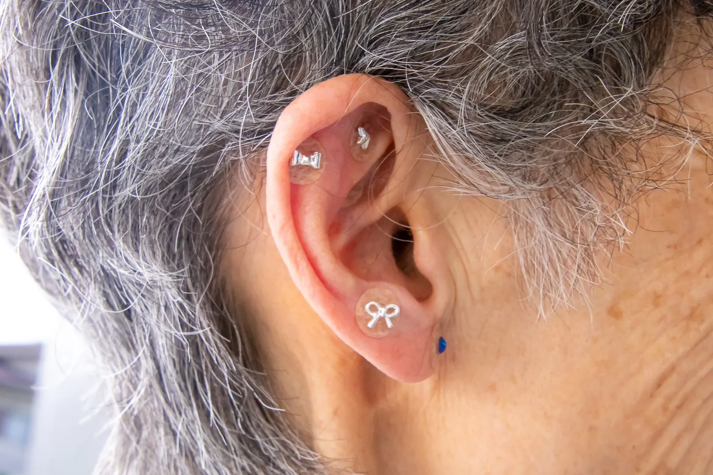 6月1日「写真まつり」