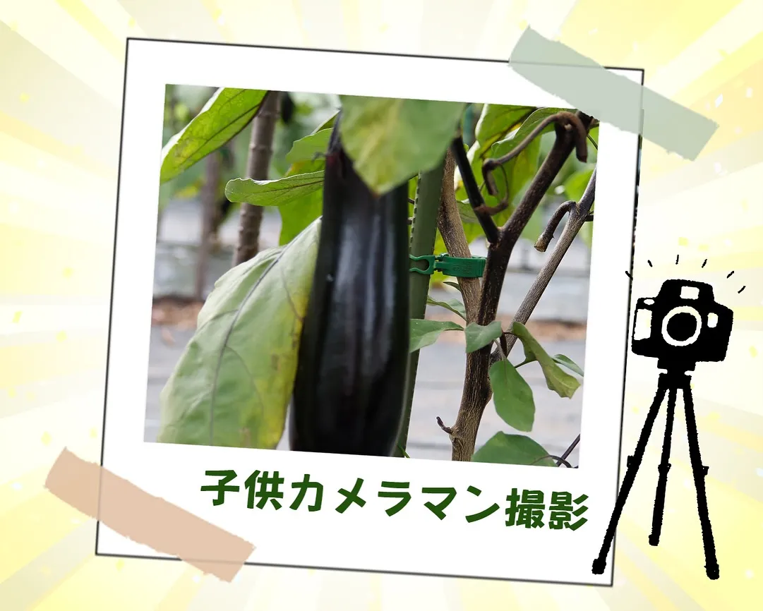 相模エナジーさま主催!職業体験😊