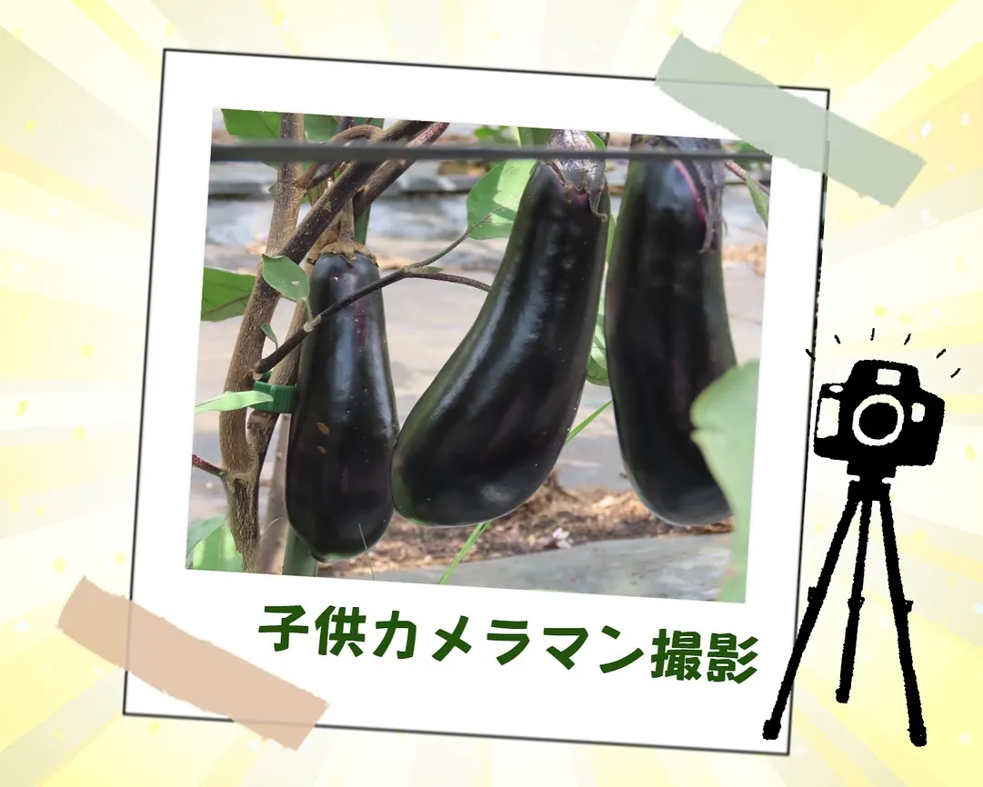 相模エナジーさま主催!職業体験😊