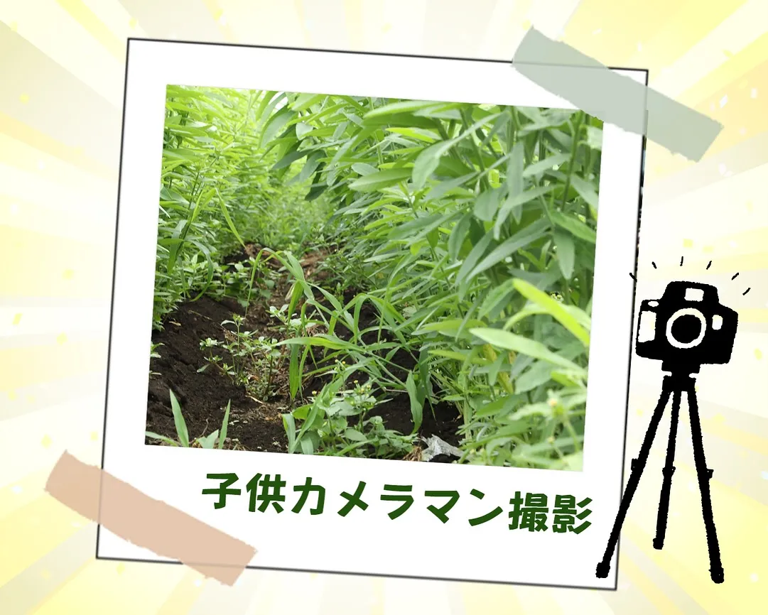 相模エナジーさま主催!職業体験😊