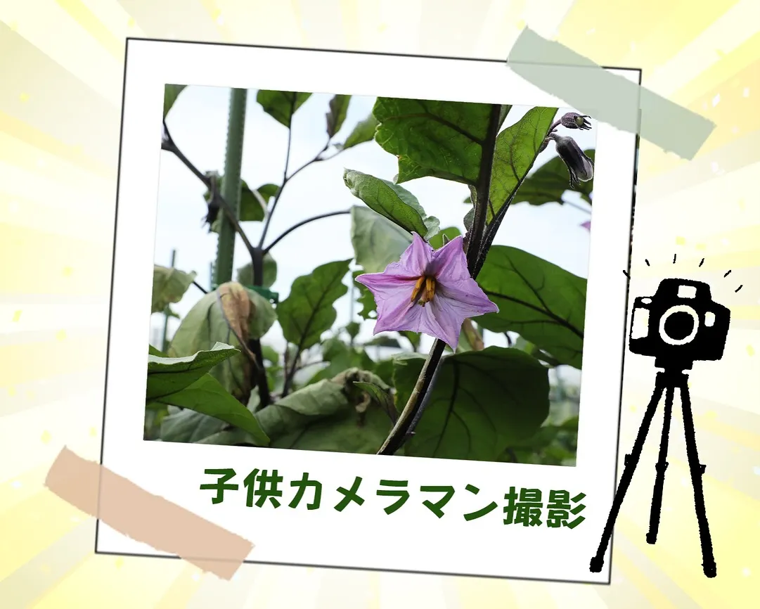 相模エナジーさま主催!職業体験😊