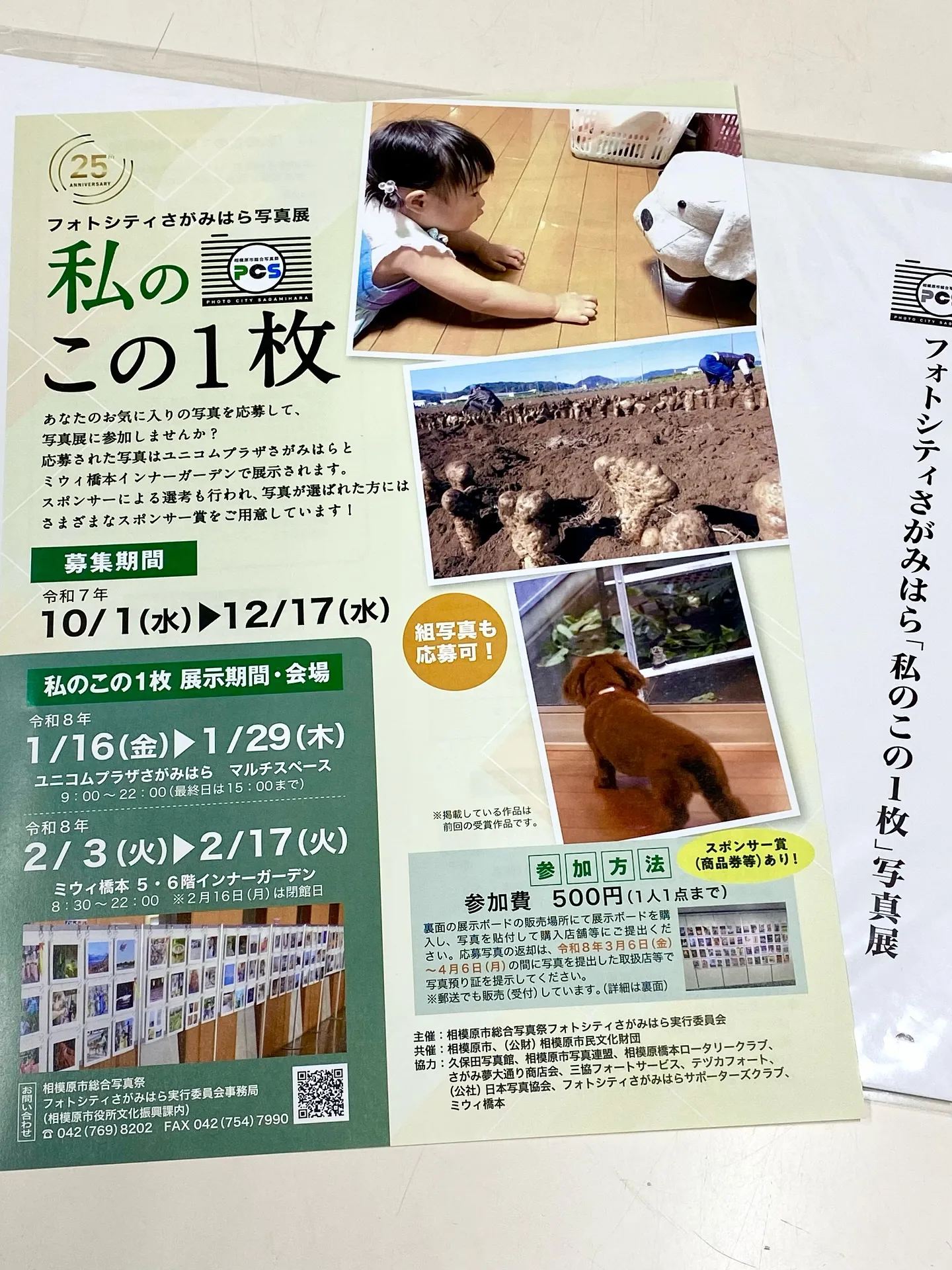 毎年恒例❣️フォトシティさがみはら写真展