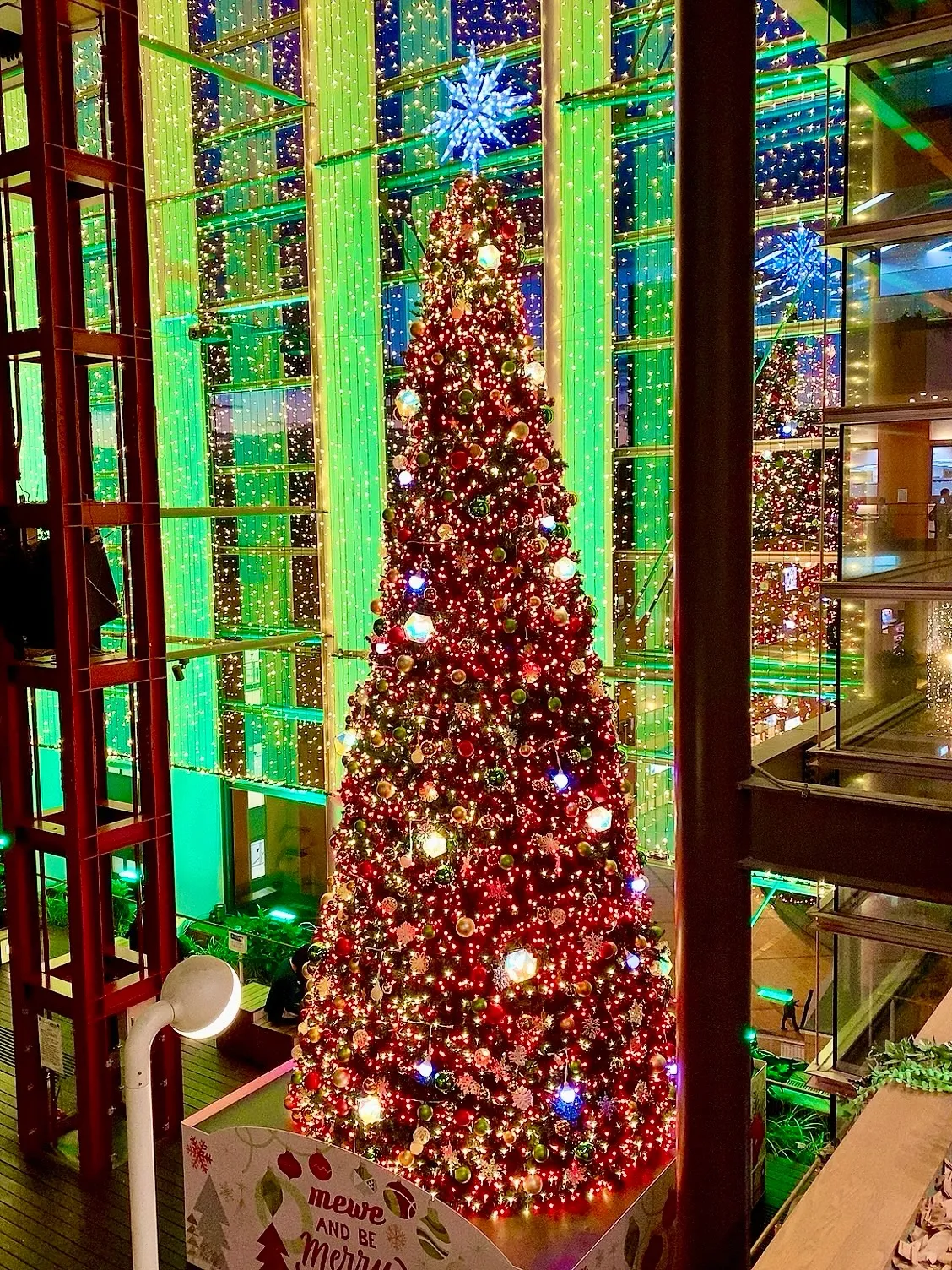 出張撮影に行ってきました📷✨