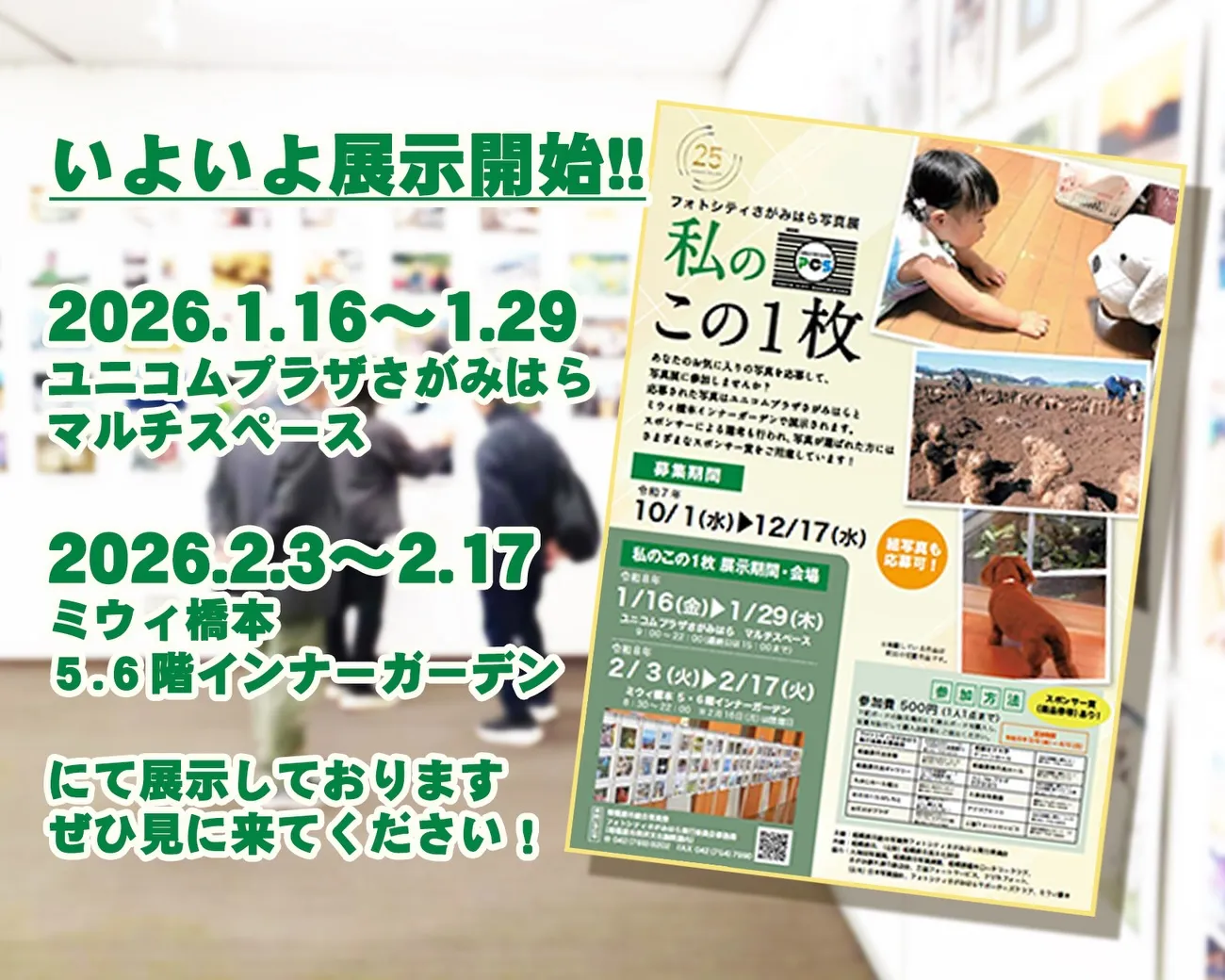 フォトシティさがみはら