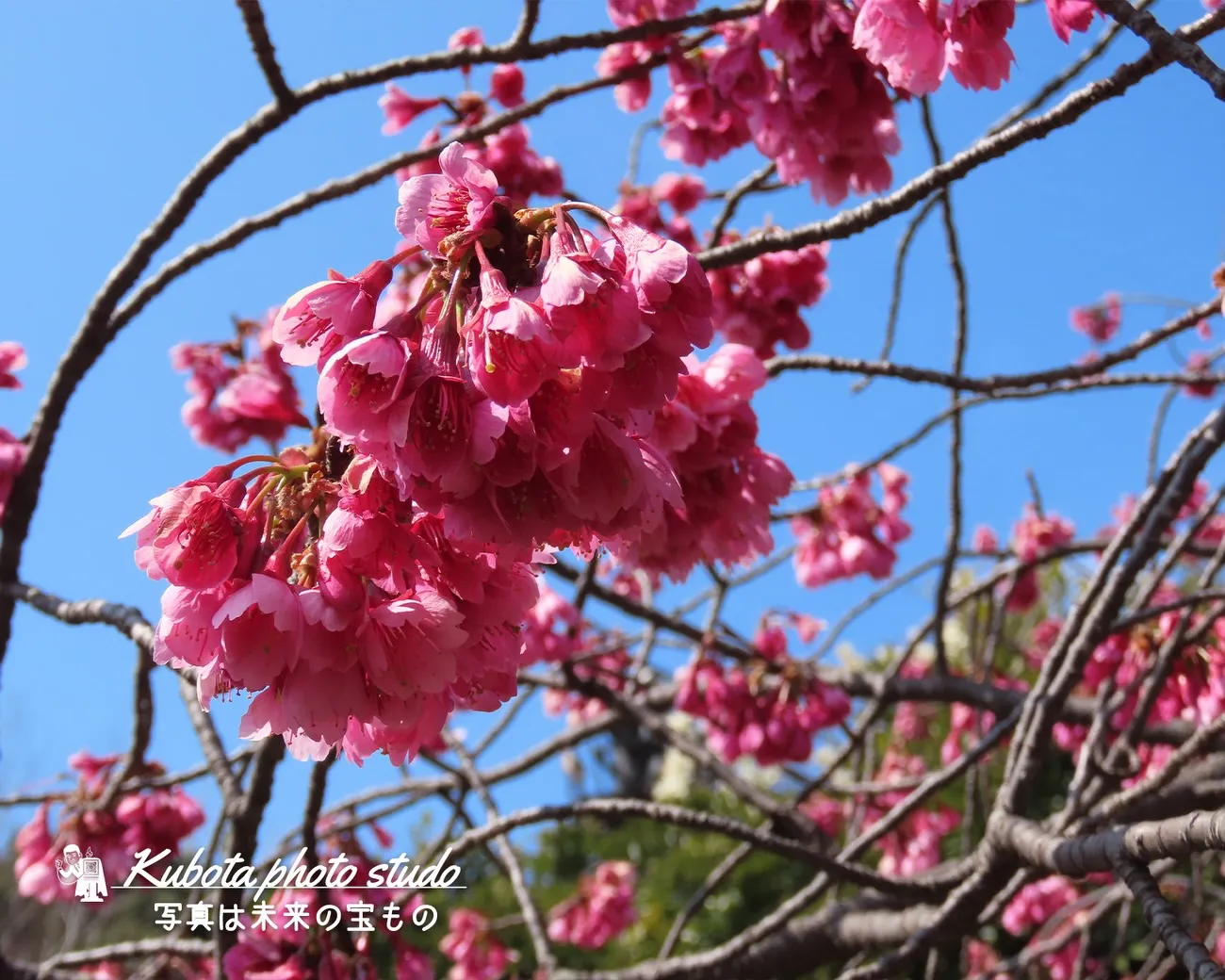 社長のお散歩…てくてく🚶♂️