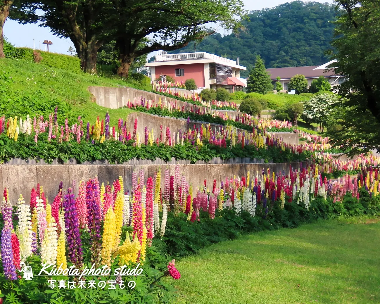 社長のお散歩…てくてく🚶‍♂️