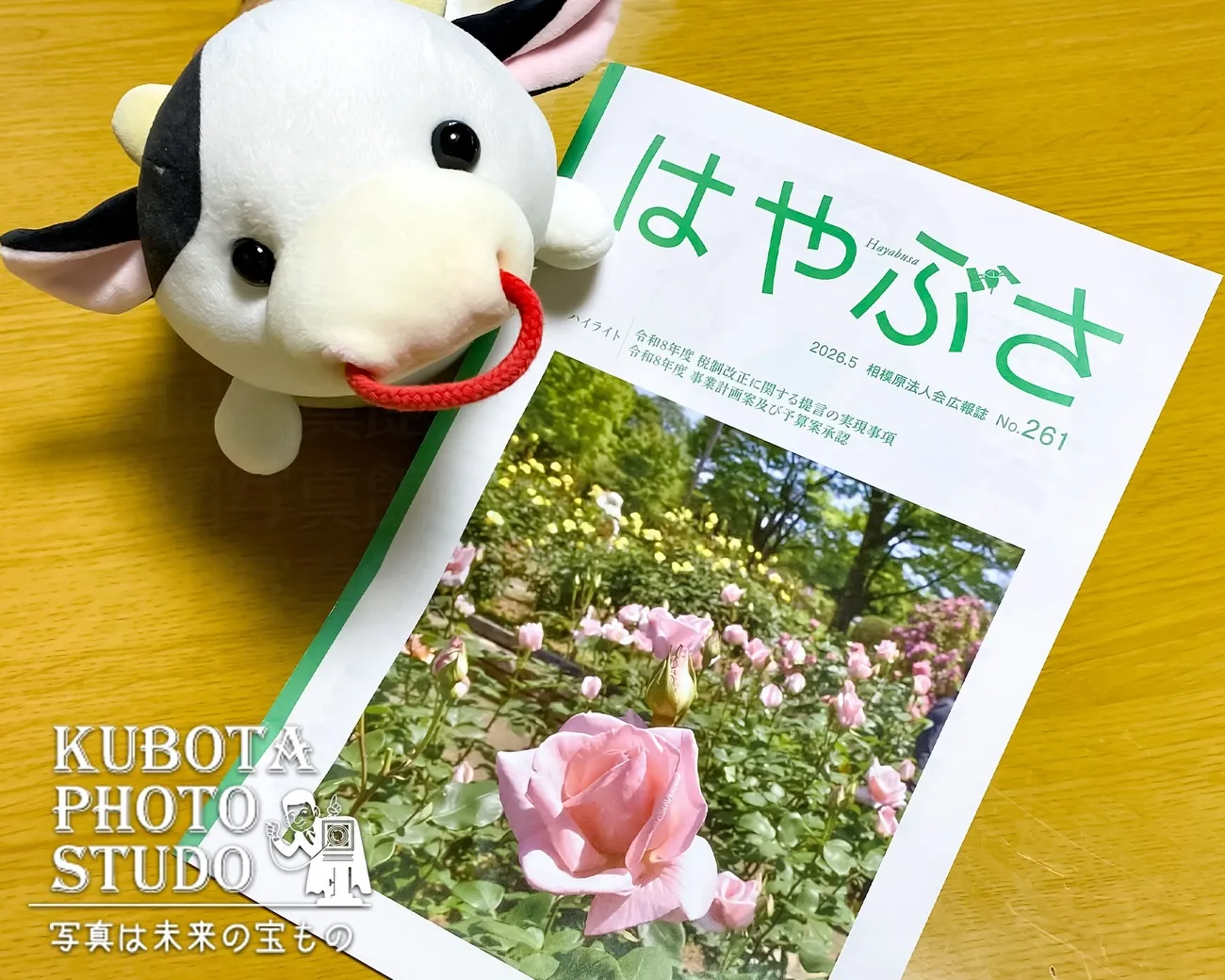 2026年5月号　相模原法人会様の広報誌の