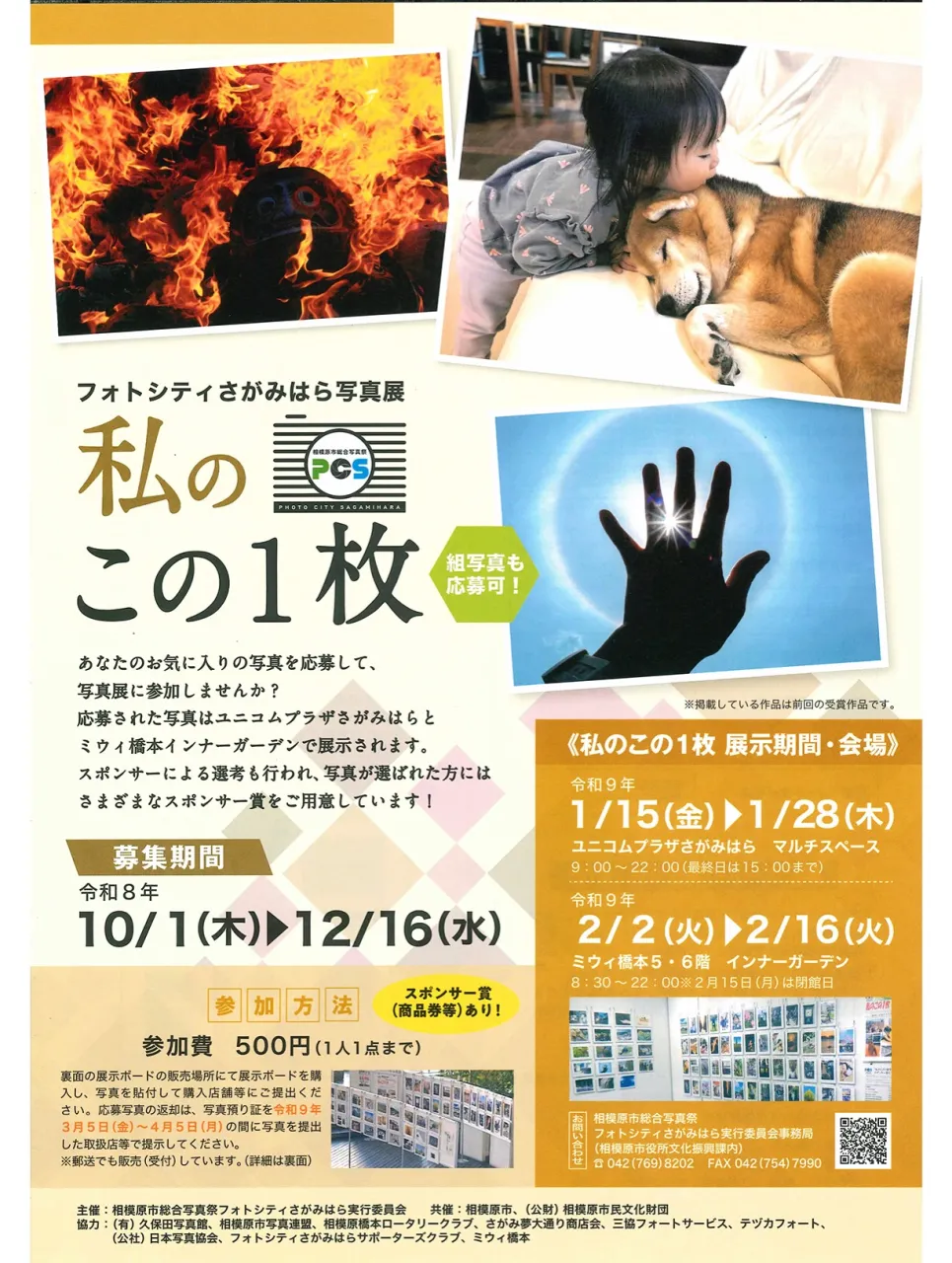毎年恒例❣️フォトシティさがみはら写真展