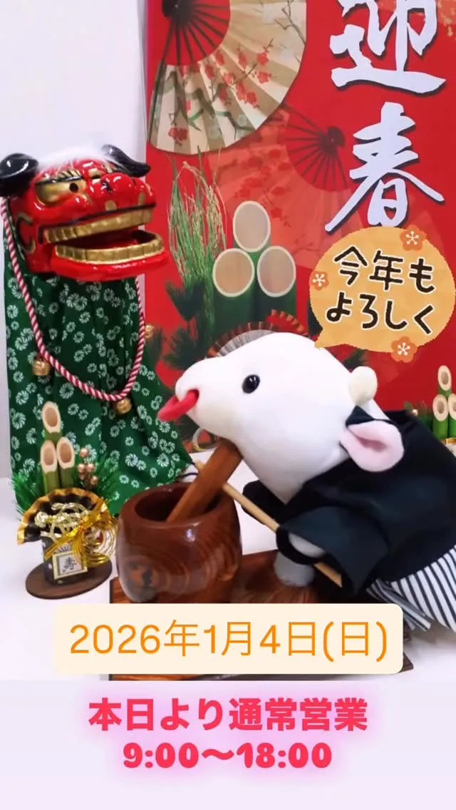 #久保田写真館相模原 #写真は未来の宝もの